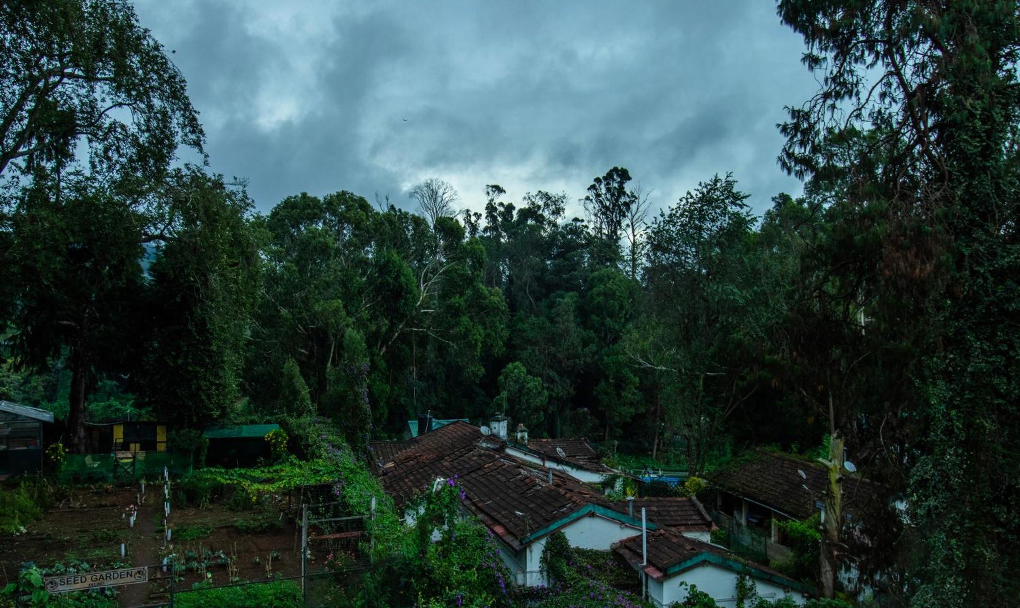 Treebo Kodai Kings Park, 650 M From Kodai Lake Kodaikanal Exterior foto